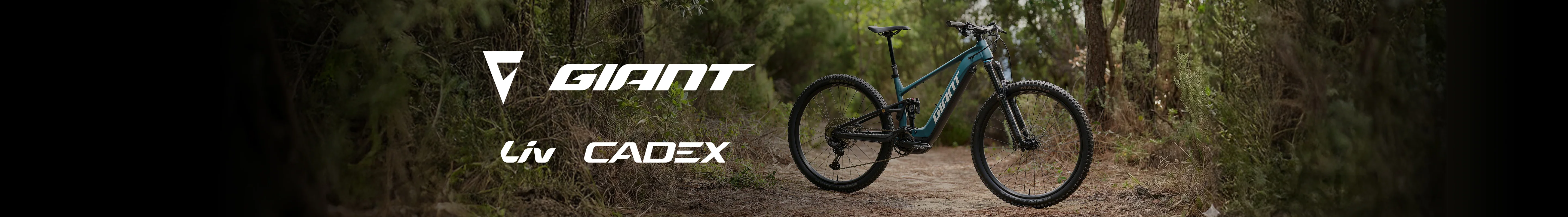 Ride Without Limits Today